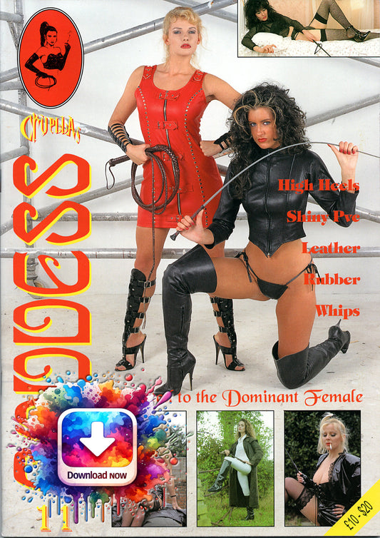 Goddess Volume 11